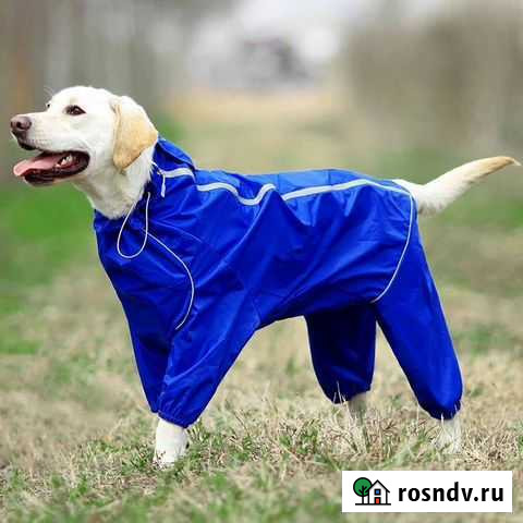 Дождевик для собаки 24 размер Белгород - изображение 1