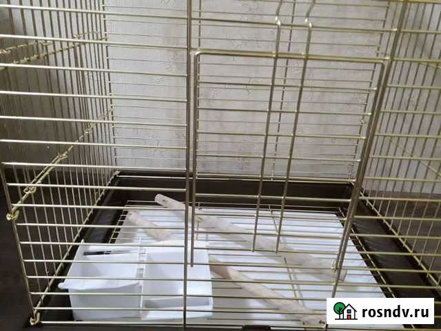 Клетка для птиц Королев - изображение 1