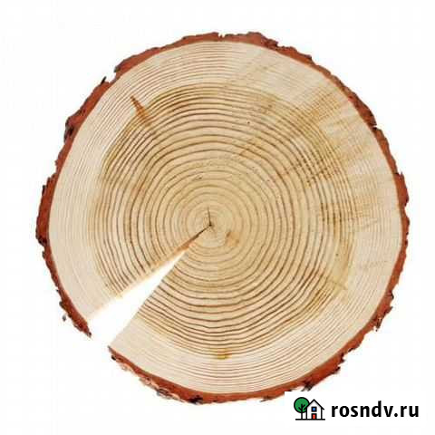 Кругляк. лиственница сосна береза дуб липа. Доска Прибельский - изображение 1