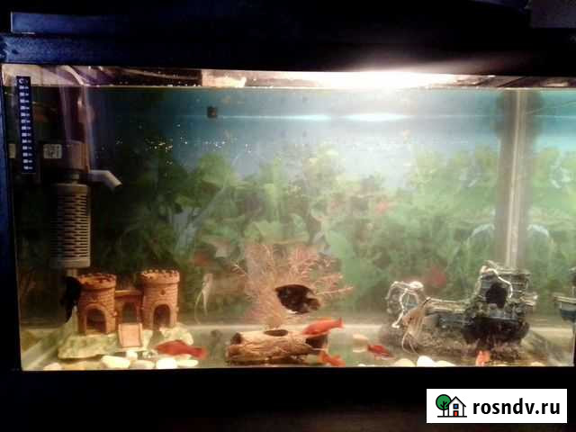 Аквариум 160 литров Златоуст - изображение 1