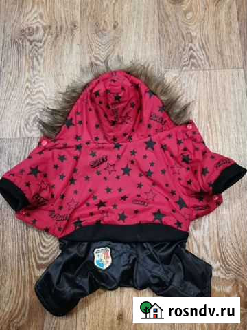 Одежда для маленьких собак Норильск - изображение 1