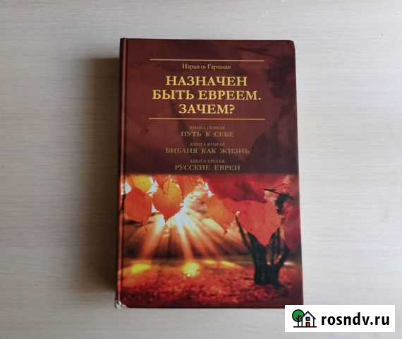 Израиль Гарцман Назначен быть евреем. Зачем Ногинск - изображение 1