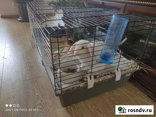 Клетка для кролика Пермь - изображение 1