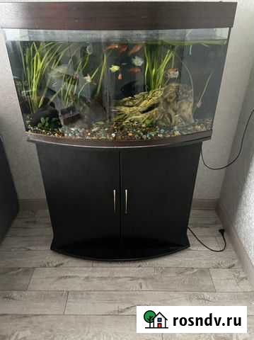 Аквариум Нижнекамск - изображение 1