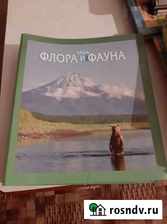 Флора и фауна Смоленск - изображение 1