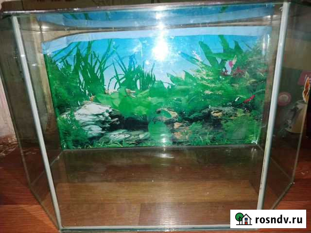 Аквариум бу 50л Ангарск - изображение 1
