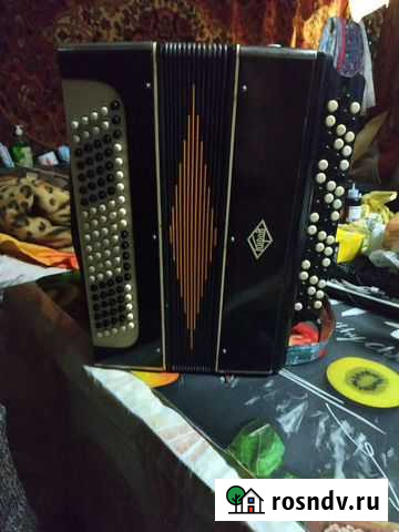 Баян Королев - изображение 1