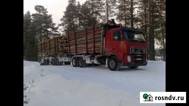 Услуги Лесовоза Кемь - изображение 1