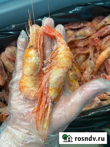 Креветка ботан Дмитров - изображение 1