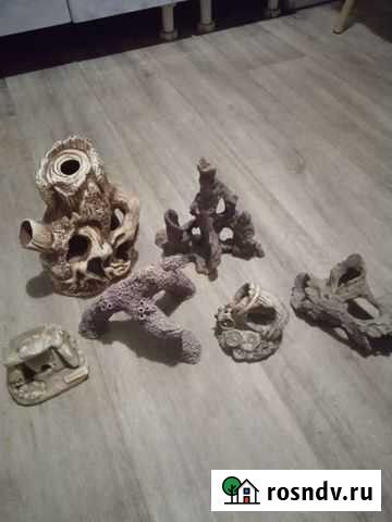 Украшение ваквареум Красноярск - изображение 1