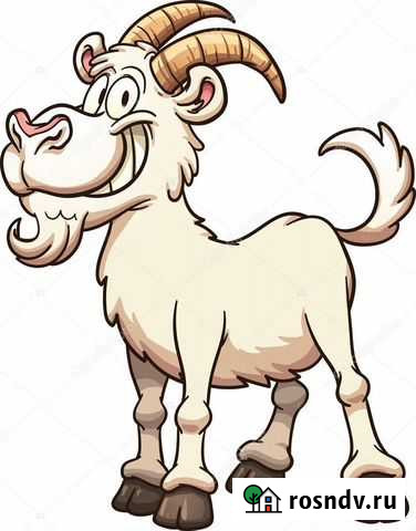 Продам козла и козу дойную Усть-Абакан - изображение 1