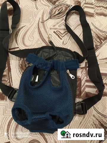 Товары для маленьких собачек или кошек Рязань - изображение 1