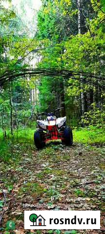 Квадроцикл кауо storm 150 Покров - изображение 1