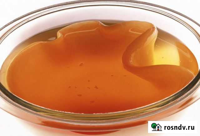 Гриб чайный Белгород - изображение 1