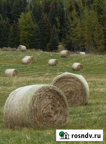 Сено солома в рулонах Донской - изображение 1