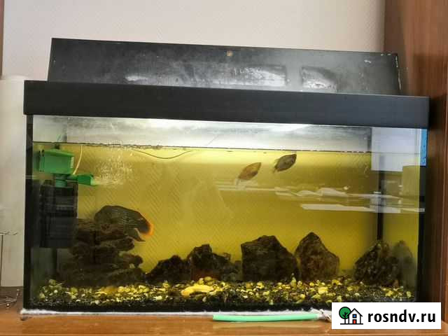 Аквариум Рязань - изображение 1