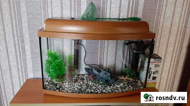 Аквариум Бирск - изображение 1