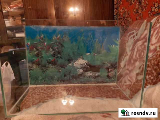 Аквариум 70 литров Балашиха - изображение 1