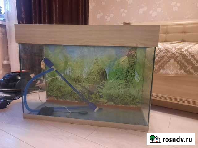 Аквариум Челябинск - изображение 1