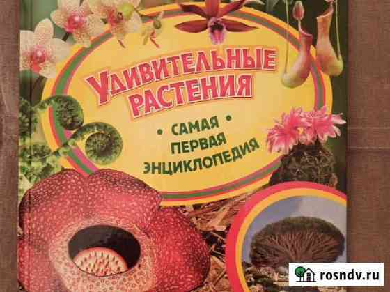 Книга детская Энциклопедия Великий Новгород