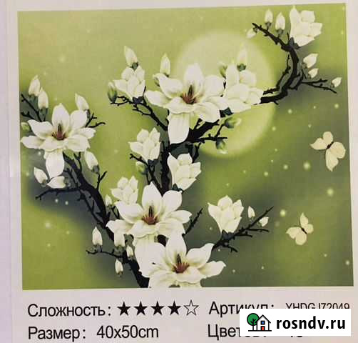 2 в 1: картина по номерам и алмазная мозаика Пермь - изображение 1