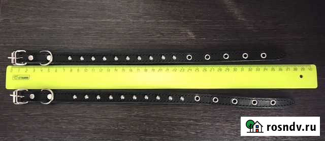 Ошейники Пермь - изображение 1