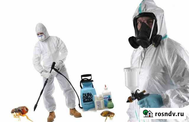 Служба по избавлению клопов и тараканов Вилючинск - изображение 1