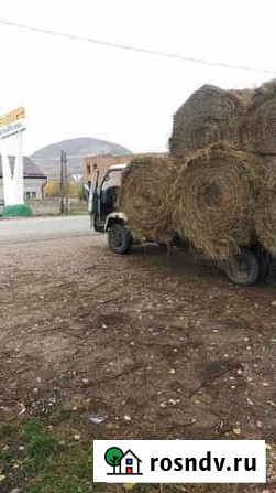 Продам сено в рулонах Терезе - изображение 1