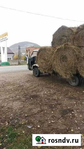 Продам сено в рулонах Терезе - изображение 1