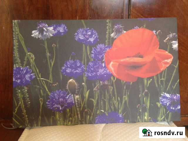 Картина Воронеж - изображение 1