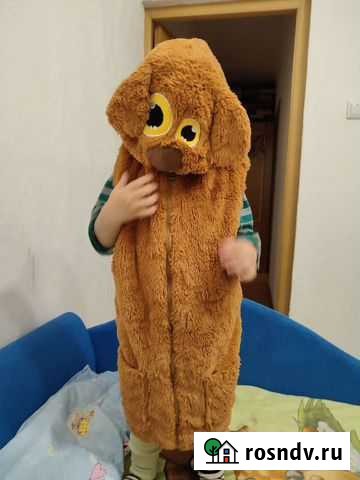 Выгульщик собак Санкт-Петербург - изображение 1