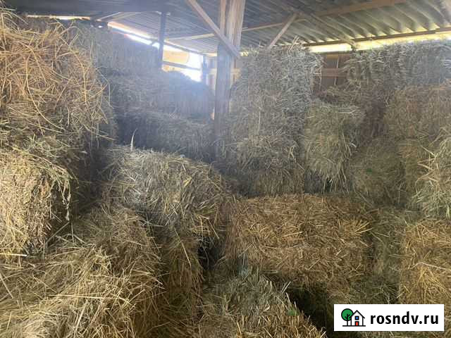 Сено Абинск - изображение 1