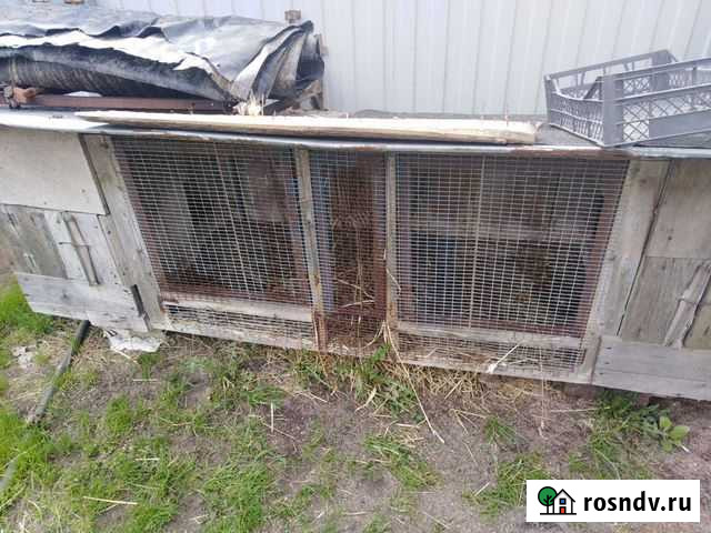 Клетка Смоленск - изображение 1