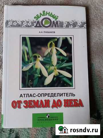 Книги Лиски - изображение 1