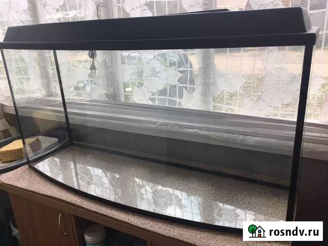 Аквариум Кстово - изображение 1