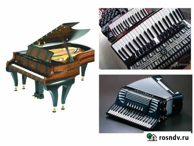 Настройка и ремонт фортепиано, баяна, аккордеона Иваново - изображение 1