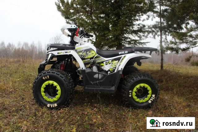 Квадроцикл Motoland wild 125 Владивосток - изображение 1