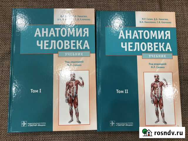Анатомия человека Сапин Белгород - изображение 1