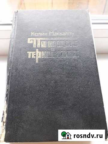 Книга Колин Маккалоу  Поющие в терновнике Вышний Волочек - изображение 1