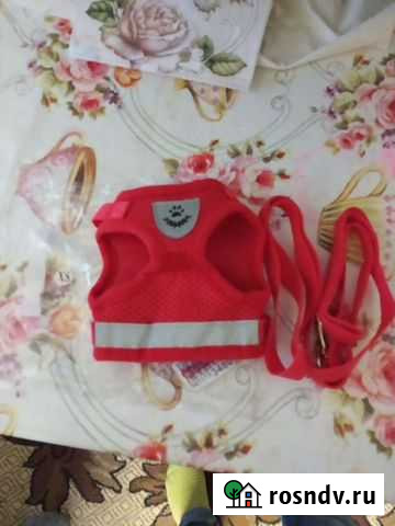 Шлейка для маленькой собаки/кошки Великий Устюг - изображение 1