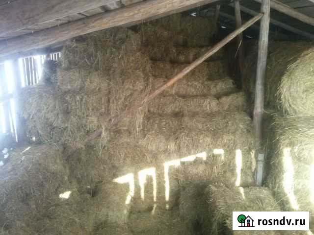 Сено кипах Вышний Волочек - изображение 1