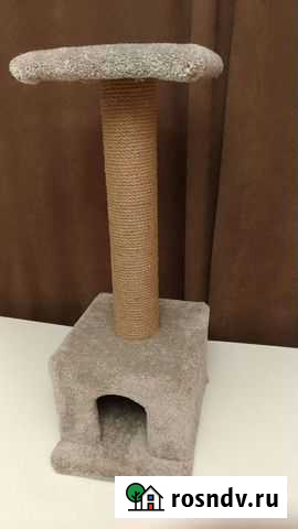 Когтеточка домик для кошки Калининград - изображение 1