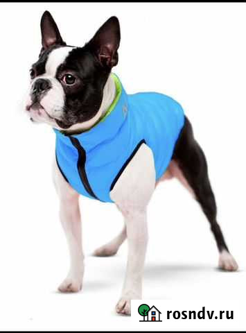 Желетка для маленьких собак Тверь - изображение 1