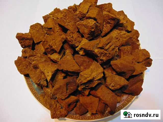 Чага берёзовая Ковров - изображение 1