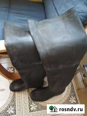 Болотные сапоги Красногорск - изображение 1