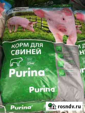 Purina Тбилисская