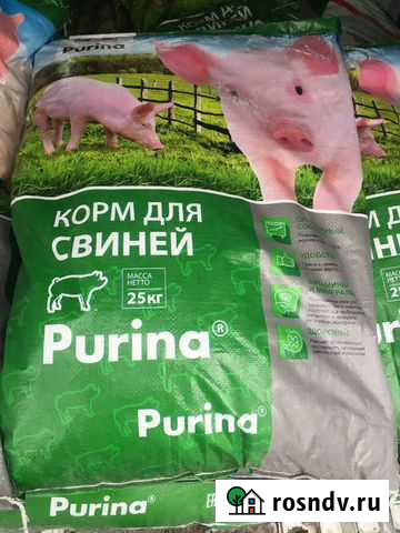 Purina Тбилисская - изображение 1