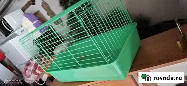 Клетка для морской свинки, кроликов Саки - изображение 1