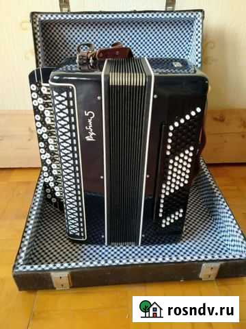 Баян Сарапул - изображение 1