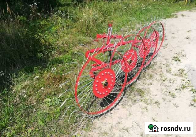 Грабли-ворошилки 4/5 колесные Беларусь D-pol (HS) Омск - изображение 1